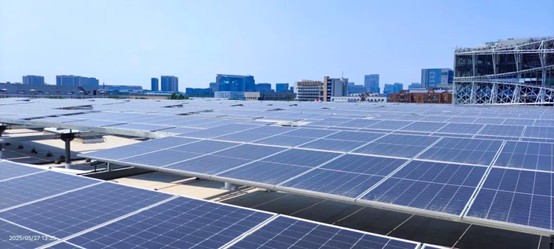 1750303081680040.jpg 1.jpg