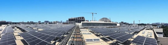 1750303093574641.jpg 2.jpg